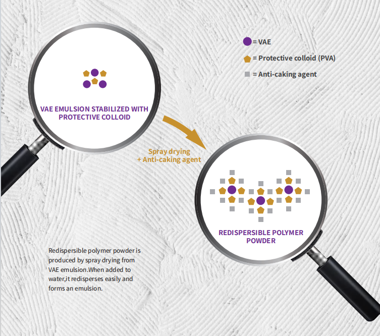 What Is RDP (Redispersible Polymer Powder) and Why Does It Matter in Dry Mix Mortar?