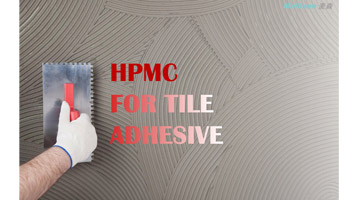 How Can Maissen Help You Under Dual Control System of Chinese Government